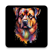 Image Art 6.0 安卓版