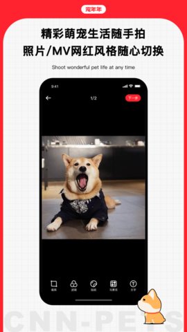 宠年年 1.0.8.1 安卓版 2