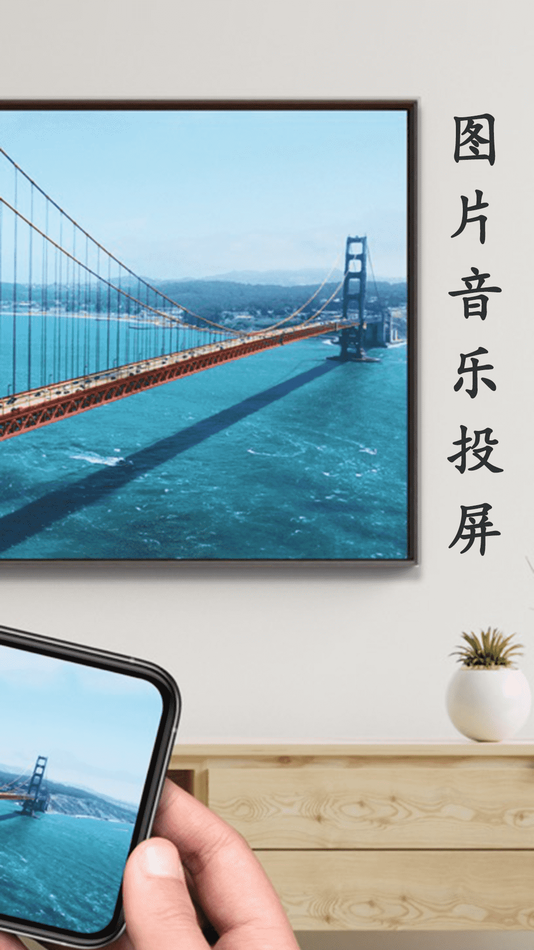 蓝莓投屏 1.1.7 安卓版 1