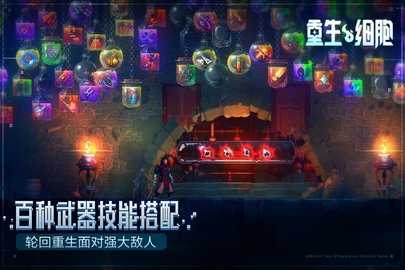 重生细胞完整版 3.5.9 最新版 2