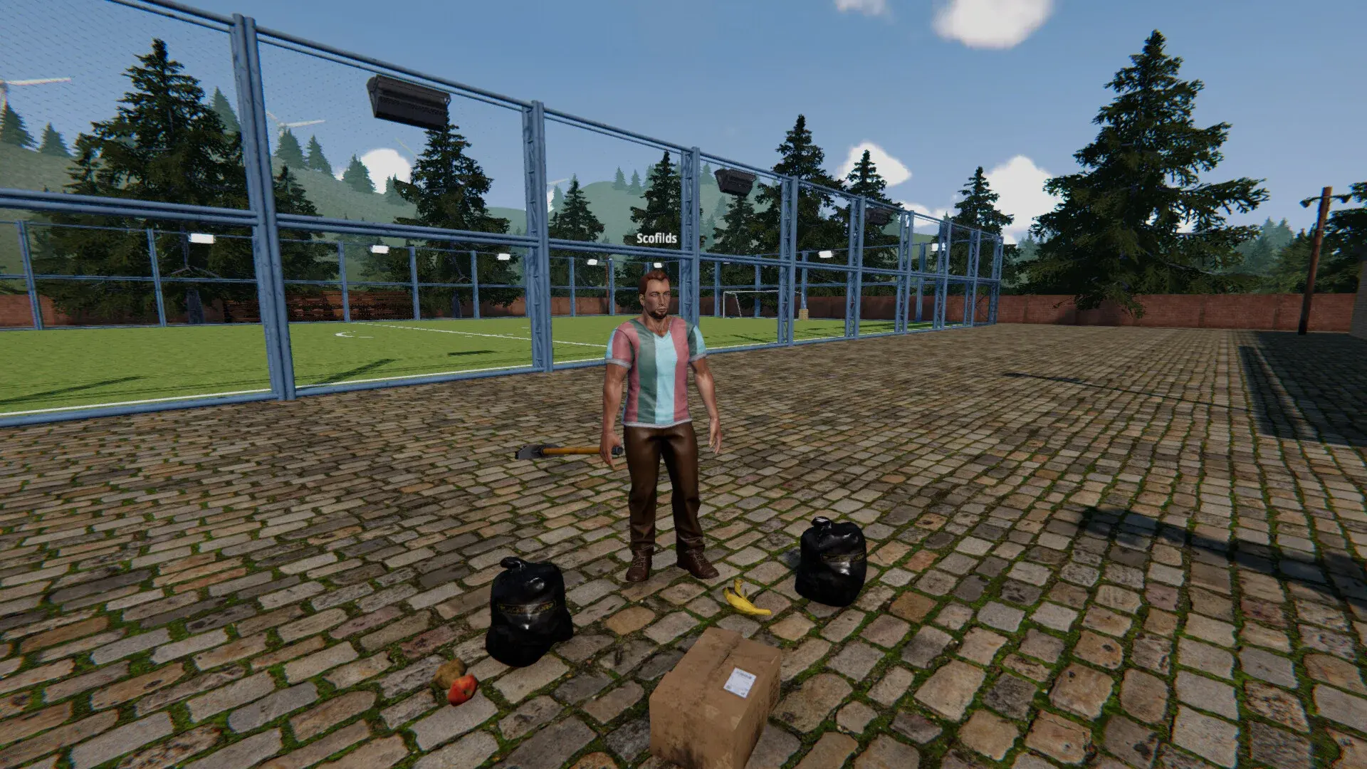 足球场模拟器 1.04 安卓版 4