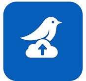 雀云注入 1.4.17 安卓版