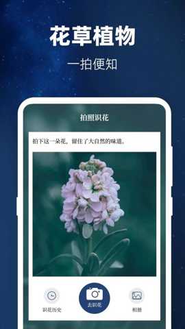 验钞工具Pro标准手电筒 3.9.398 安卓版 3