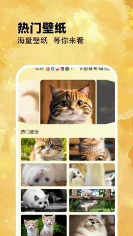 筑梦小猫舍 1.4 安卓版 3