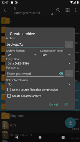 ZArchiver Pro 1.0.10 安卓版 3