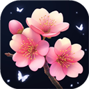 插花小屋 v1.00 手机版