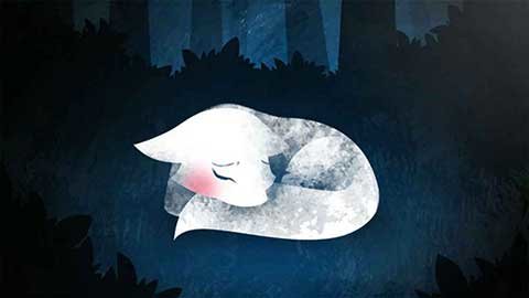 小狐狸之星 1.37 最新版 3