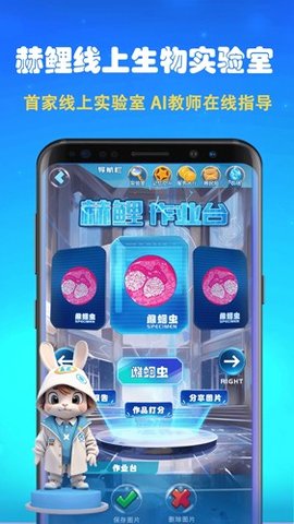 赫鲤元宇宙 2.2.33 安卓版 3