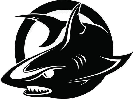 蓝龙科技8.0 1.0 安卓版