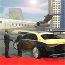 保镖模拟器 3.3 安卓版