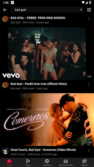 Vanced 5.5.80.317 安卓版 3