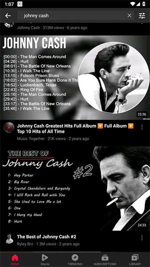 Vanced 5.5.80.317 安卓版 1