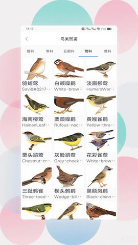 鸟语翻译器prt V3.0 安卓版 1