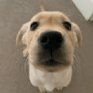 土狗影视 1.6.3 安卓版