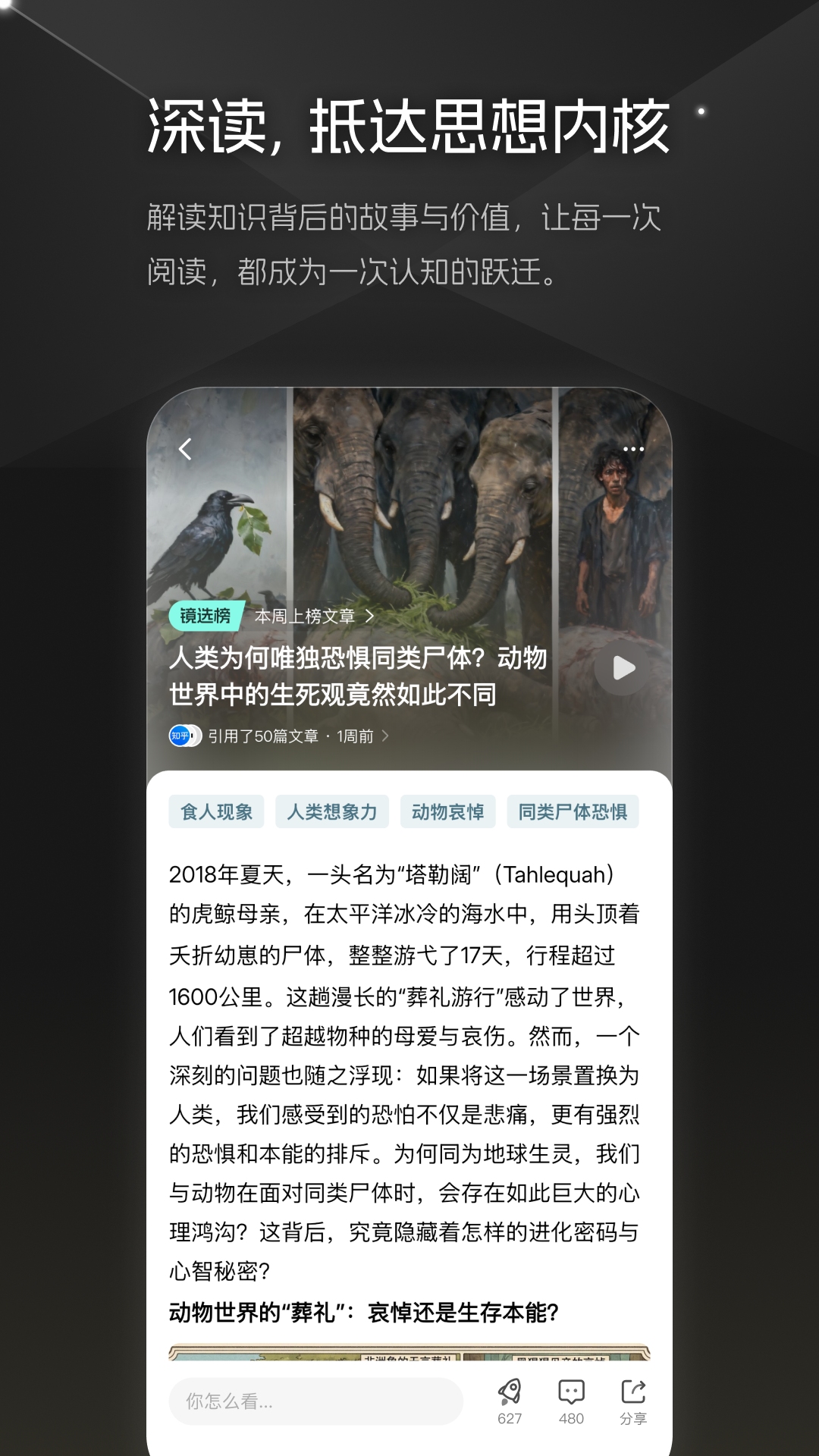 大圆镜 1.3.11 安卓版 3