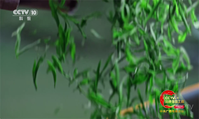 海洋电视Tv版 1.1.3 安卓版 2