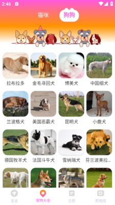 智能换机助手 1.0.0 安卓版 4