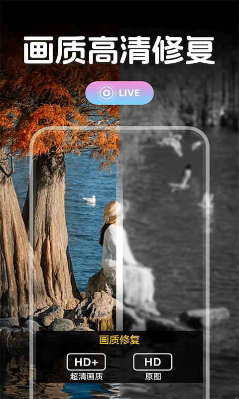 实况滤镜相机 v1.0.1 安卓版 4