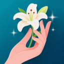 插花高手