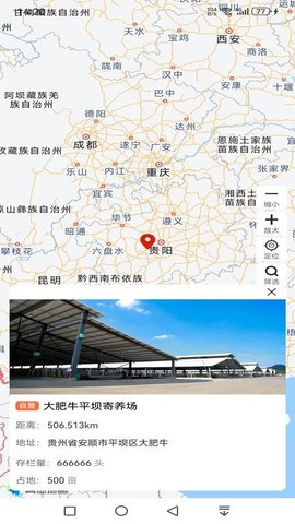 大肥牛 1.0.0 手机版 1