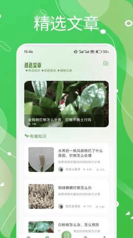芙蓉花语 1.3 手机版 1