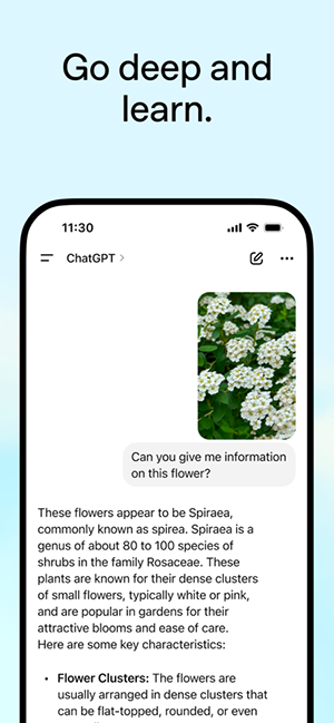 ChatGPT5.2 1.2025.336 安卓版 1