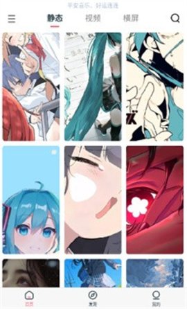 椰蓉壁纸 1.1 安卓版 2