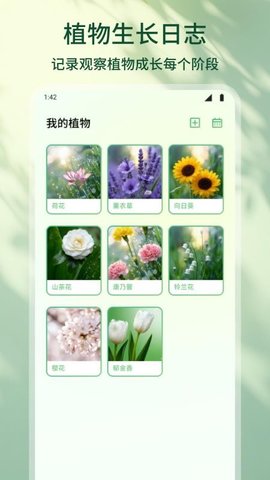 花朵物语 1.2 最新版 3