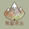 雪巅求生