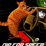 猫司机NipForSpeed Cmod-v13.1 安卓版