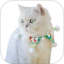 赚钱猫 1.0.1 最新版
