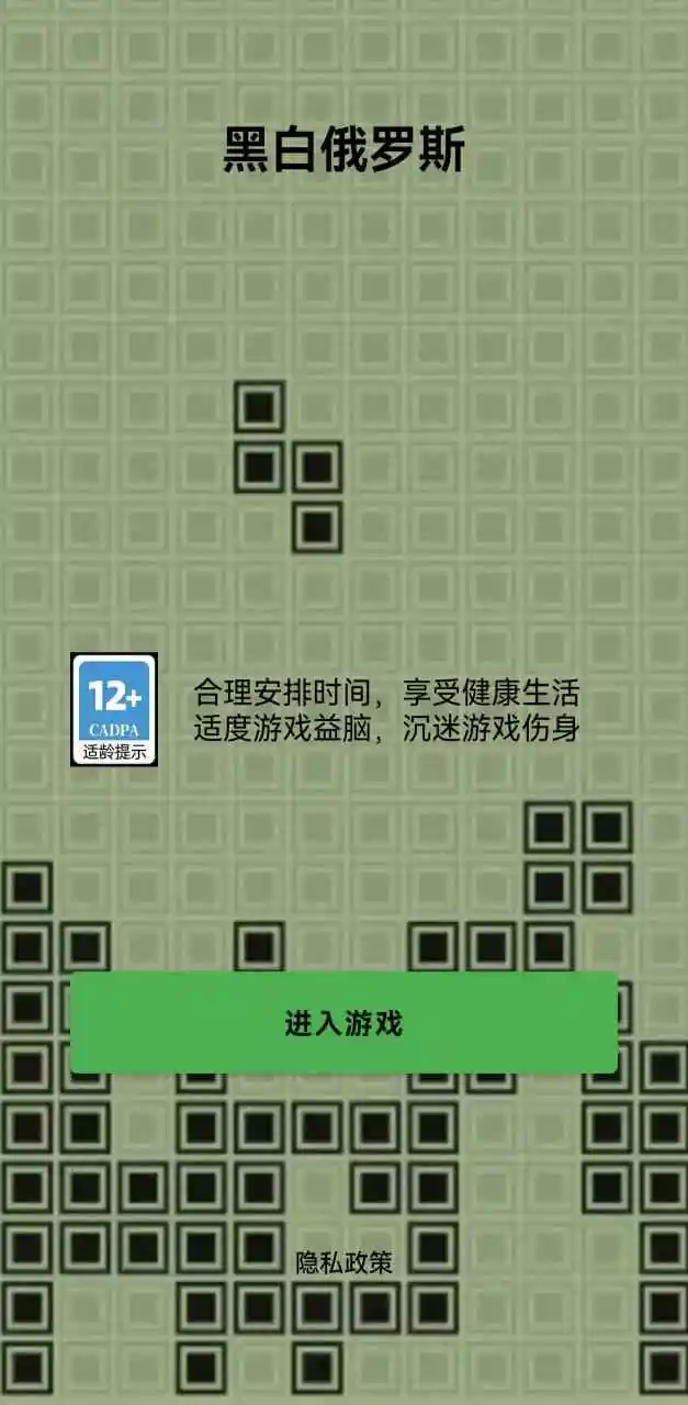 黑白俄罗斯 1.0 安卓版 3