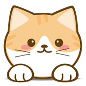 橘喵4K 2.4.1 安卓版