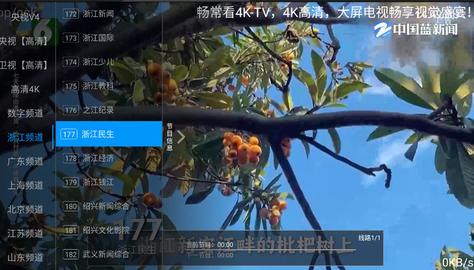 畅播TV 6.3.6 最新版 3