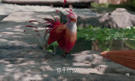 老鱼影视 1.0.3 安卓版 1