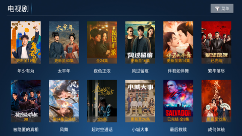 椰子TV 8.6 手机版 1