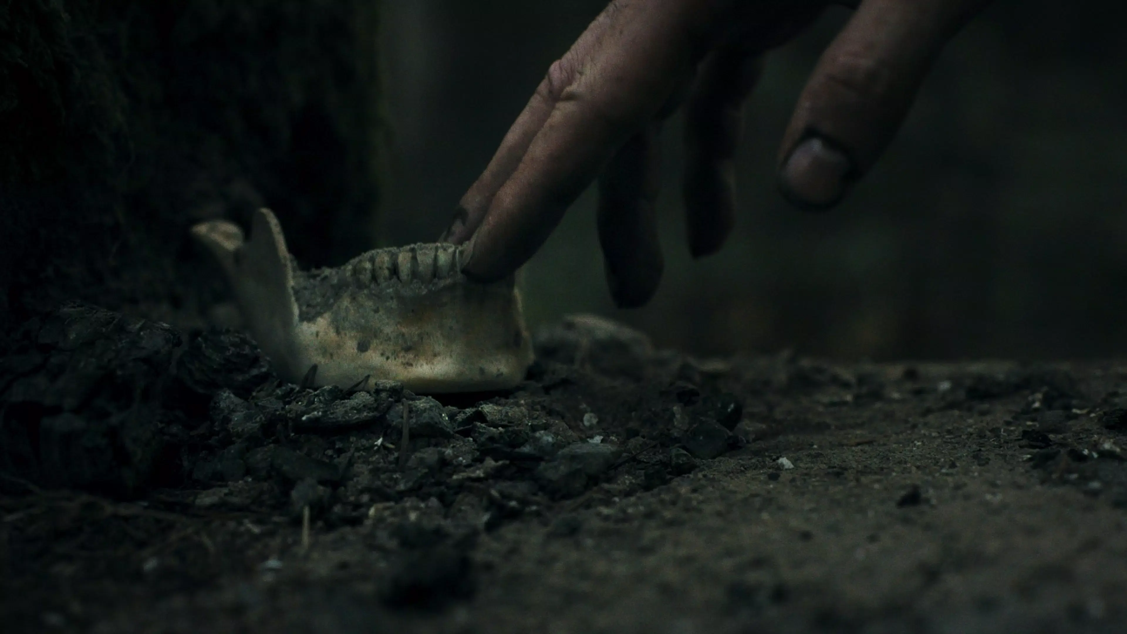 幽林深处 1.0 安卓版 1