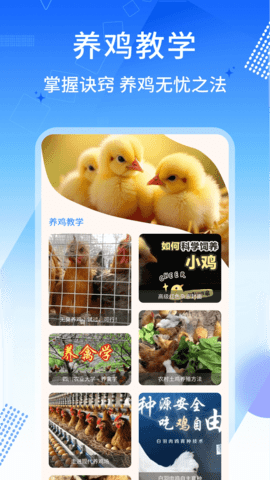 养鸡宝 1.0.5 安卓版 3