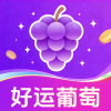 好运葡萄 4.8.8.912 最新版