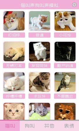 猫叫声狗叫声模拟 10.0 手机版 1