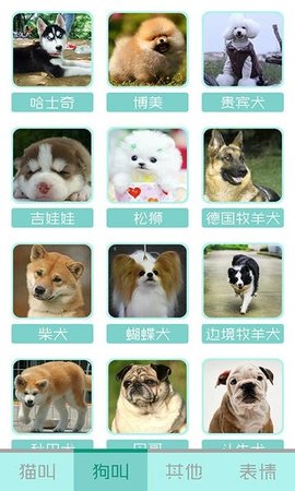 猫叫声狗叫声模拟 10.0 手机版 2