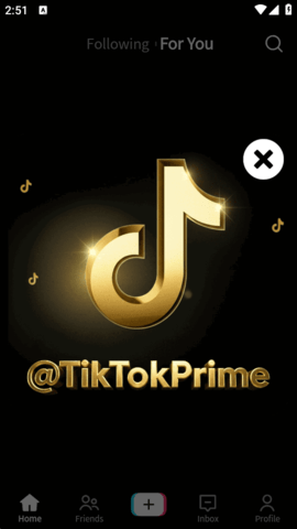 TikTok白金版 46.0.1 最新版 2