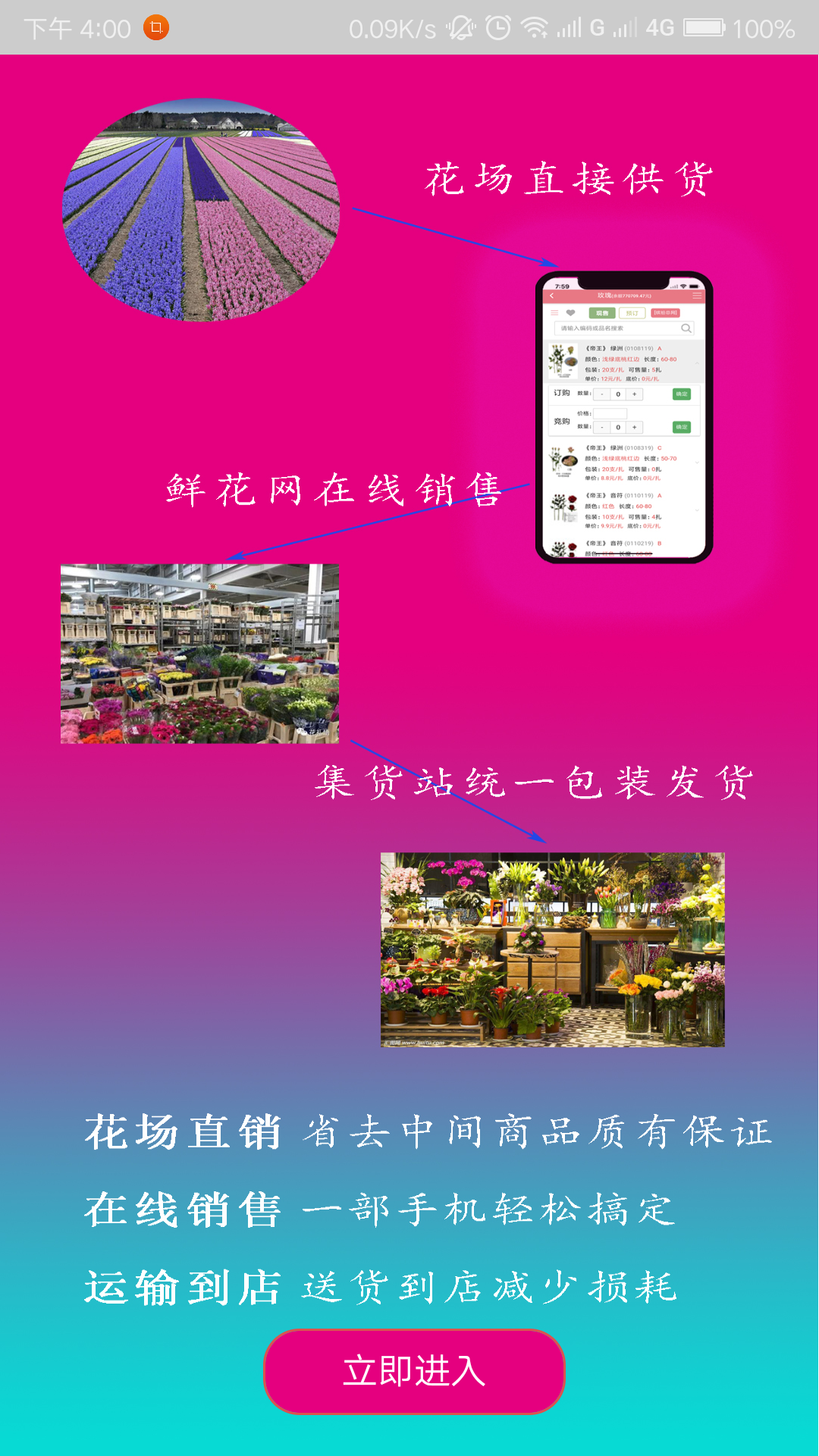 麻花鲜花 1.2.03 最新版 1