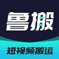 鲁搬七号 7.2 手机版