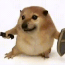 我的刀盾桌宠 1.0 安卓版