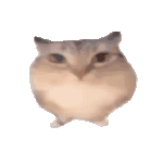 巴巴博一桌宠 1.0 安卓版