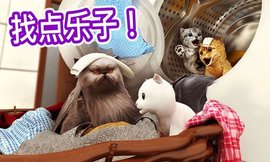 迷你小猫城市生存 300.1.7.3018 最新版 1