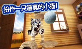 迷你小猫城市生存 300.1.7.3018 最新版 3