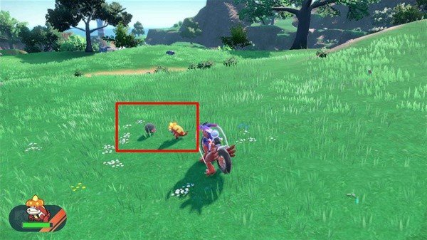 口袋妖怪火红朱紫