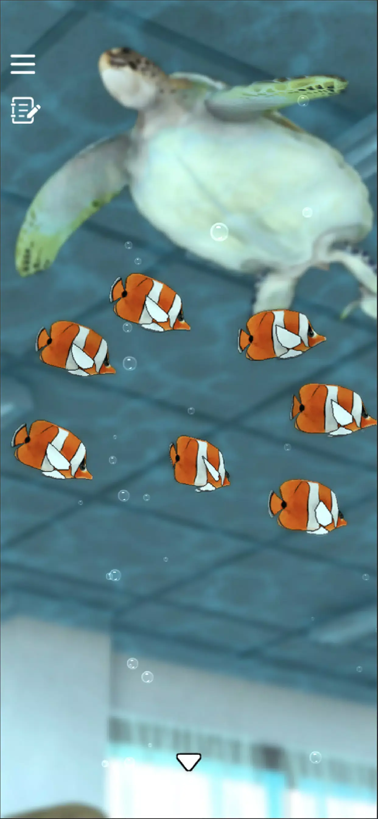 密室逃脱青色放课后 1.0.8 安卓版 3